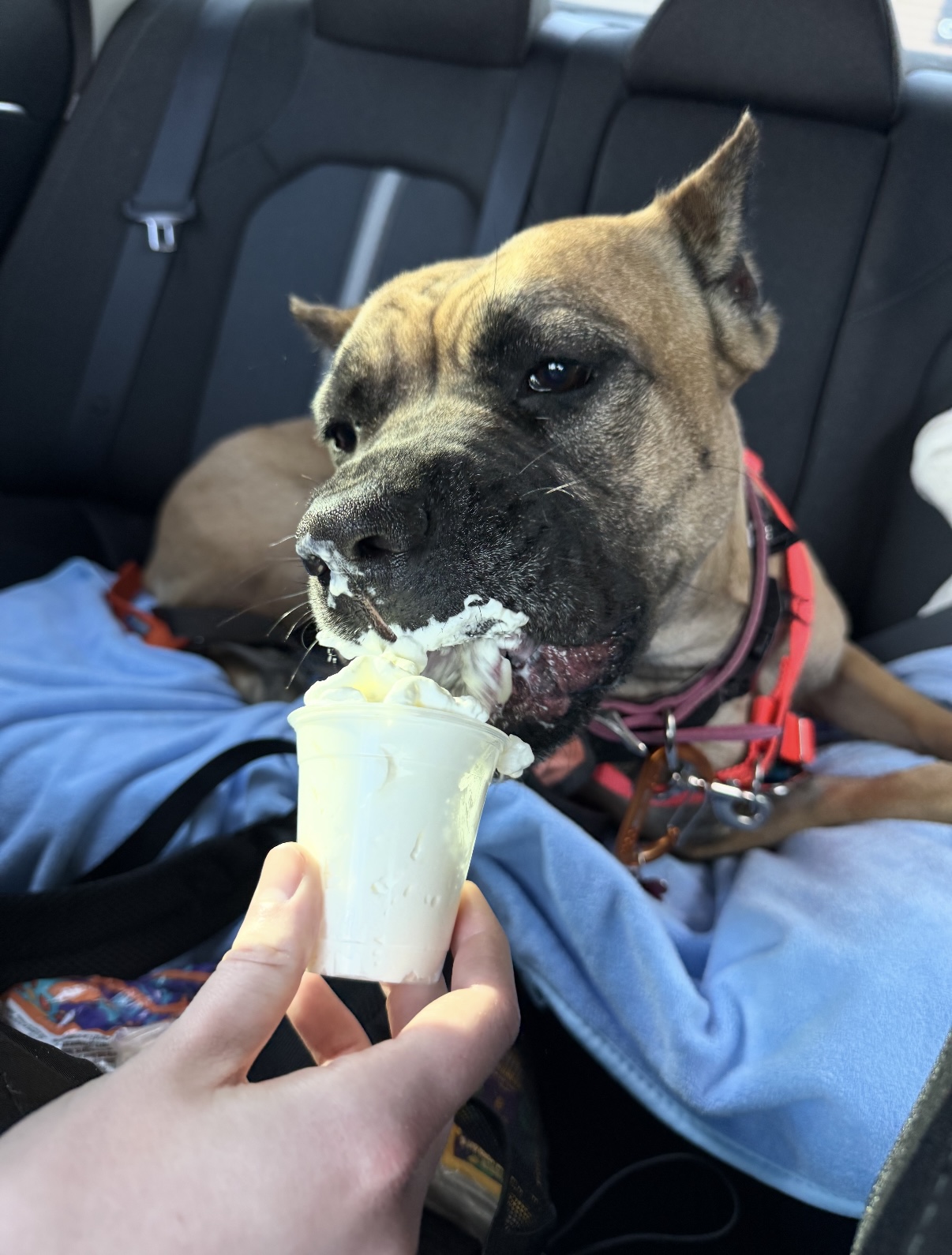 Jonathan and Paris
